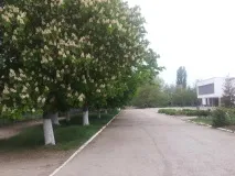 крим