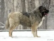 потрібний