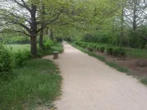 андріївка