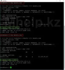 Налаштування сервера DNS Ubuntu Server Час ділитися знаннями server