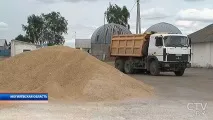 Новини «Не очікували, що таке станеться» керівник сільгосппідприємства під Могильовом новини
