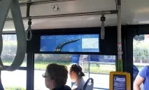 Громадський транспорт у Кракові, У Кракові громадський