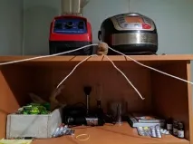 картофи нови