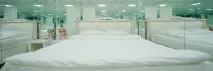късокосмести показалец късокосмести показалец