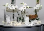 александър пеперуди