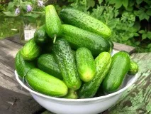 краставици свойства