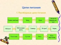 визначте