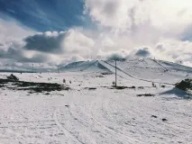 дървосекачи дървосекачи