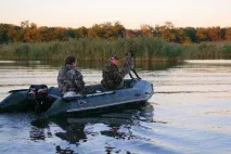 Полювання на ниркових качок - Полювання та риболовля в Україні та за кордоном полювання