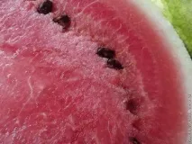снимки коктейл