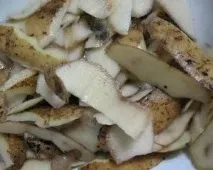могат бъдат отпадъци