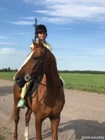 Від Старобіна до Мащиць як случчани та солігірчани шукали коня, що втік. старобіна