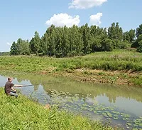 Піскарь – риба серйозна риба