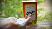спътник содата
