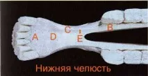 бита бита
