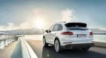 cayenne