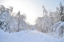 запомнен уикенда