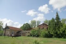 провалилия дмитриевски