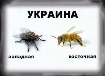 бедна държавна формация защо