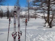 Детальний огляд лижних кріплень Камчатка кріплень