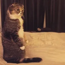 мене
