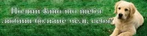 след това игри