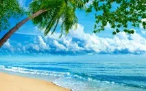 Прикольні картинки про літо та море (41 фото) - Прикольні картинки та гумор літо