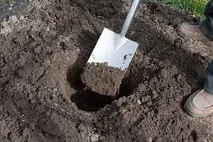 засаждане през