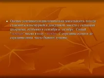 Презентація на тему - Клімат та погода Великобританії - з географії для 7 класу погода