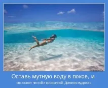 Прикольні картинки про літо та море (41 фото) - Прикольні картинки та гумор картинки