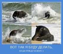 Прикольні картинки про літо та море (41 фото) - Прикольні картинки та гумор море