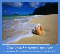 Прикольні картинки про літо та море (41 фото) - Прикольні картинки та гумор картинки