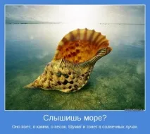 Прикольні картинки про літо та море (41 фото) - Прикольні картинки та гумор море