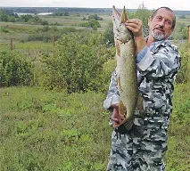 щуки
