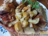 птица птица