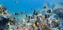 Подорож на Галапагоські острови подорож