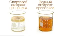 Прополіс застосування, лікувальні властивості, від чого допомагає, фото, відео застосування