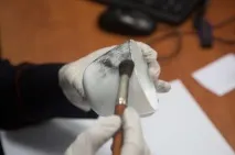 експертни пръстови