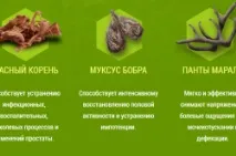 прегледите простатита
