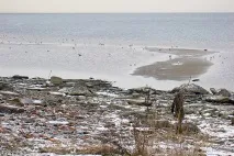 Подорож на машині з Москви до Пітера. москви