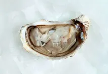 Продукти, що підвищують потенцію у чоловіків, про що Ви не знали! потенцію
