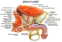 лечение лечение