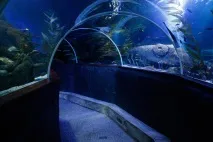 хелзинки