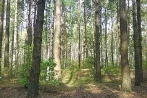 Санаторії Рязанської області ціни на 2019 рік з лікуванням, офіційний сайт Курорт Експерт рязанської