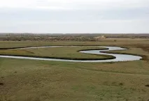 сърце сърце