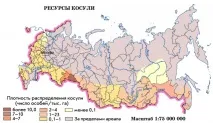 Ресурси лося та косулі лося
