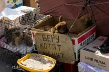 Рекомендації та практичний посібник з організації та функціонування спеціалізованих посібник