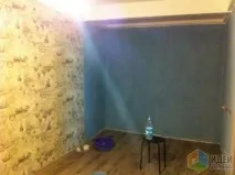 Ремонт у сім’ї ітшників, Ідеї для ремонту було