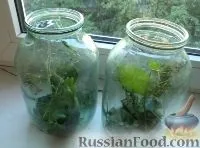 краставици рецепта
