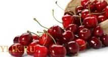 Рецепти настоянок з черешні властивості та застосування рецепти